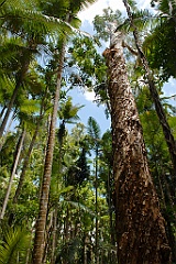 0229 Centenary Lakes